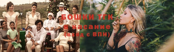 шишки Армянск