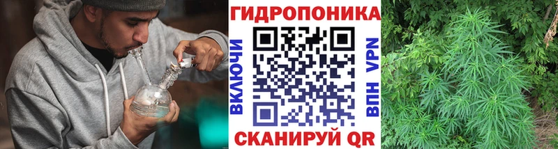 Канабис White Widow  сколько стоит  Жуковский 